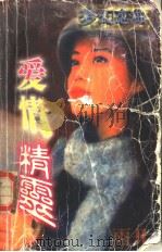 爱情精灵 1998 PDF电子版封面 7806053034 (台湾)雨凡著