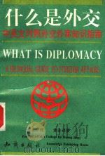 什么是外交 中英文对照外交外事知识指南 a bilingual guide to foreign affairs 1993 PDF电子版封面 7501504725 黄金祺著