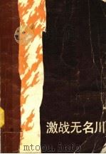 激战无名川  第2版   1985  PDF电子版封面  10019·1870  郑直 