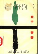 死于青春   1987  PDF电子版封面  750140187X  海岩著 