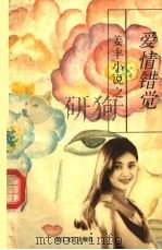 爱情错觉（1996 PDF版）
