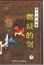 燃烧的剑 下 1998 PDF电子版封面 780506555X 颜斗著