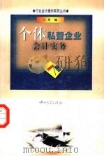 个体私营企业会计实务   1999  PDF电子版封面  7306015966  王泉编 