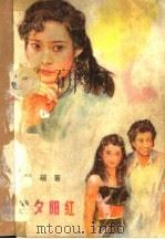 几度夕阳红 1987 PDF电子版封面 10331·285 琼瑶著