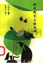 栖在粉笔上的鸟群（1998 PDF版）