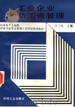 机械电子工业部  机电行业专业管理人员岗位培训教材  工业企业劳动工资管理   1991  PDF电子版封面  7111024230  王丁风主编 