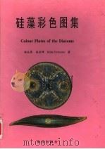 硅藻彩色图集 1996 PDF电子版封面 7502741674 程兆第等著