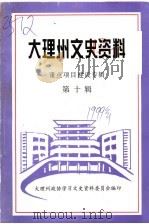 大理州文史资料 重点项目建设专辑 第10辑 1999 PDF电子版封面 中国人民政治协商会议大理白族自治州委员会学习文史资料委员会编