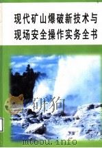 现代矿山爆破新技术与现场安全操作实务全书  第3册（ PDF版）