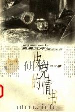 皮克的情书 1996 PDF电子版封面 7500621981 林敏,于青主编