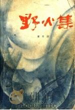 野火集 1982 PDF电子版封面 10094·382 贾平凹著