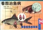 看图治鱼病   1999  PDF电子版封面  7805655219  叶重光编绘 