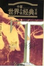 世界中篇小说经典文库  德奥卷   1996  PDF电子版封面  7801141008  叶水夫，高中甫主编 