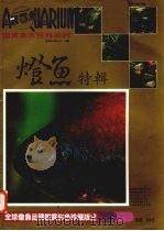 灯鱼特辑（ PDF版）