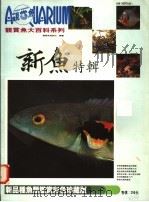 新鱼特辑（ PDF版）