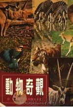 动物奇观 1979 PDF电子版封面 怀冰译述