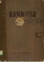 组织胚胎学图谱（1958.1 PDF版）
