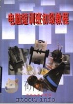 电脑短训班初级教程 1998 PDF电子版封面 7507410188 郭淑馨主编;鄢小平,付建军,李国斌,蒋克中编