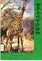 世界各地珍奇动物（1982 PDF版）
