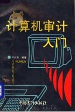 计算机审计入门（1990 PDF版）