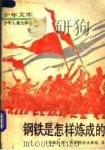 钢铁是怎样炼成的（1991 PDF版）