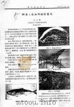 鰤鱼α溶血性链球菌病 PDF电子版封面 大山刚