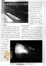 天然与全新品种的亚洲龙鱼  下（ PDF版）