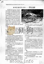 特种养殖优良品种-罗氏沼虾 PDF电子版封面
