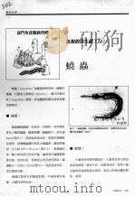 蛲虫     PDF电子版封面     
