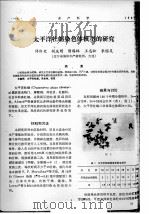 太平洋牡蛎染色体核型的研究（ PDF版）