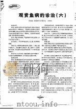 观赏鱼病的诊治 6 PDF电子版封面 阳庆潇