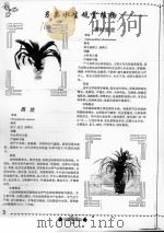 另类水生观赏植物  吊兰  带兜兰  水培花卉  鸭跖草  吊竹梅（ PDF版）
