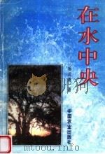 在水中央 1999 PDF电子版封面 710905716X 杨尚聘著