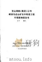 宝山钢铁  集团  公司嵊泗马迹山矿石中转港工程环境影响报告书  下   1995  PDF电子版封面     