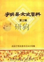 宁明县文史资料 1991 PDF电子版封面 政协宁明县委员会办公室编