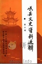 岷县文史资料选辑  第6辑   1999  PDF电子版封面    政协甘肃省岷县委员会文史资料研究委员会编 