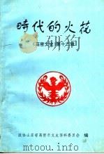 高密文史 第12辑 时代的火花 PDF电子版封面 政协山东省高密市文史资料委员会编
