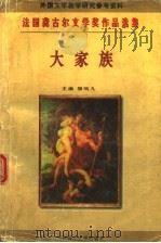 大家族 1996 PDF电子版封面 7303021434 柳鸣九主编;(法)德吕翁等著;蔡若明等译