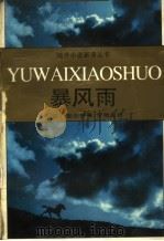 暴风雨   1997  PDF电子版封面  7530623478  （苏）爱伦堡（I.Ehrenburg）著；罗稷南译 
