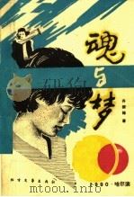 魂与梦 1990 PDF电子版封面 7531704722 齐振铎著