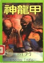 神龙甲 1992 PDF电子版封面 7805056676 文亦奇著