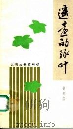 遥远的绿叶 1990 PDF电子版封面 7536702817 舒宗范著