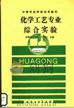 化学工艺专业综合实验 1995 PDF电子版封面 7502515836 吕守信主编
