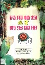 药用植物病害防治图册 1999 PDF电子版封面 7538129464 傅俊范主编