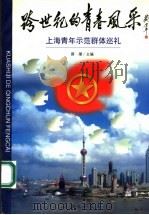跨世纪的青春风采:上海青年示范群体巡礼 1999 PDF电子版封面 7542612565 薛潮主编