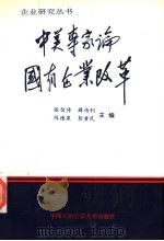 中美专家论国有企业改革 1995 PDF电子版封面 7810117335 张信传等主编
