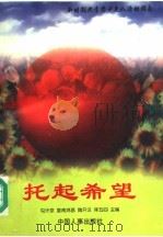 托起希望 新时期共青团少先队活动指南 1997 PDF电子版封面 780139013X 屯汴京等主编