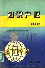 知识产权 法律与实务 1996 PDF电子版封面 7805765944 上海市知识产权联席会议办公室编