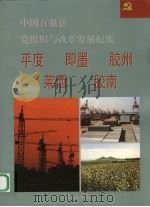 中国百强县党组织与改革发展纪实  平度即墨胶州莱西胶南分册   1994  PDF电子版封面  7800980669  王克玉册主编 