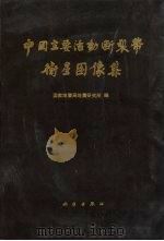 中国主要活动断裂带卫星图像集 1989 PDF电子版封面 7030017773 国家地震局地震研究所编